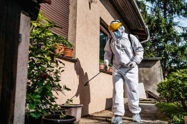Best Pest Control for Restaurants  in Lorenz Park, NY