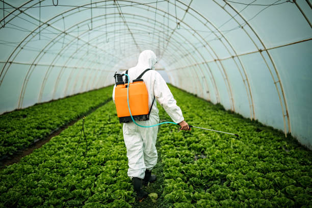 Best Pest Removal Services  in Lorenz Park, NY