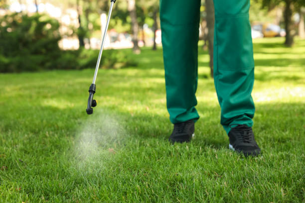 Best Pest Inspection Near Me  in Lorenz Park, NY