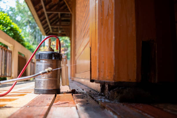 Best Termite Control Services  in Lorenz Park, NY